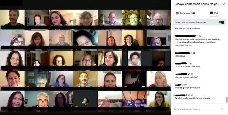 Screenshot from the workshop video conference